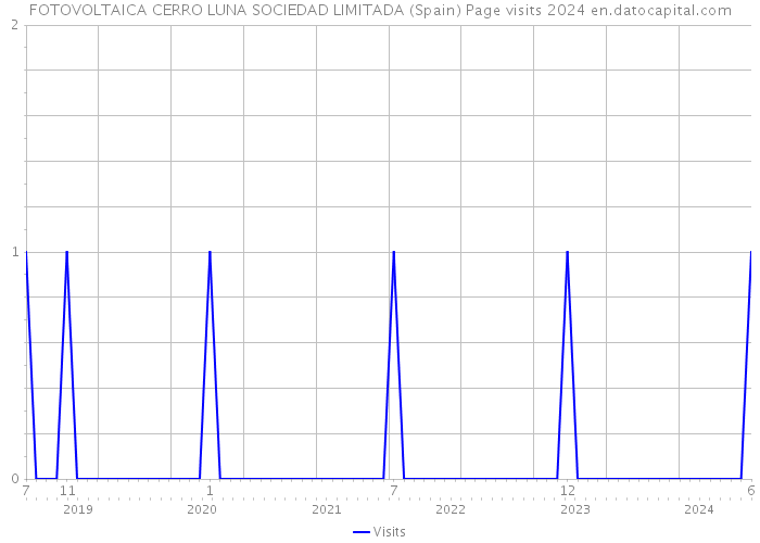 FOTOVOLTAICA CERRO LUNA SOCIEDAD LIMITADA (Spain) Page visits 2024 