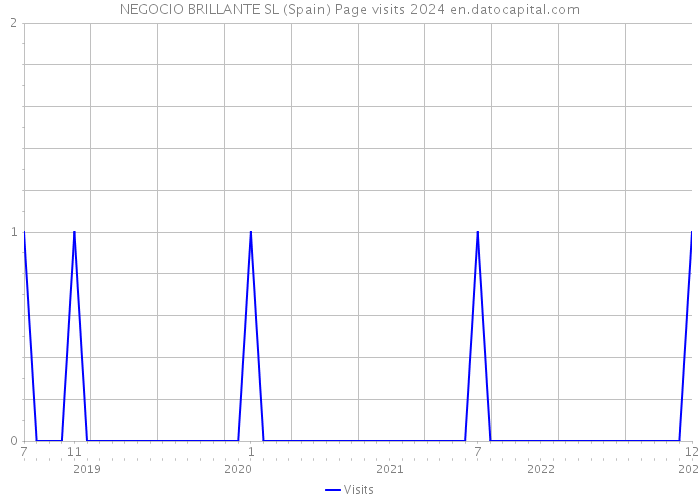 NEGOCIO BRILLANTE SL (Spain) Page visits 2024 