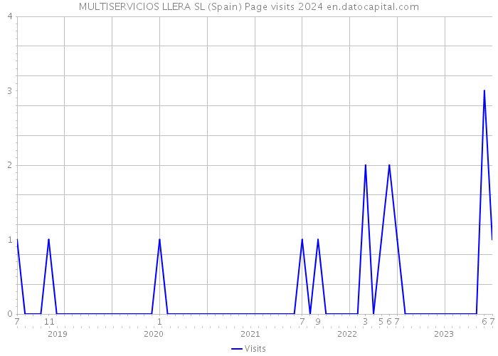 MULTISERVICIOS LLERA SL (Spain) Page visits 2024 