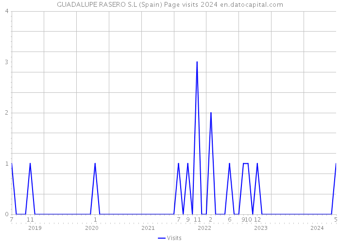 GUADALUPE RASERO S.L (Spain) Page visits 2024 