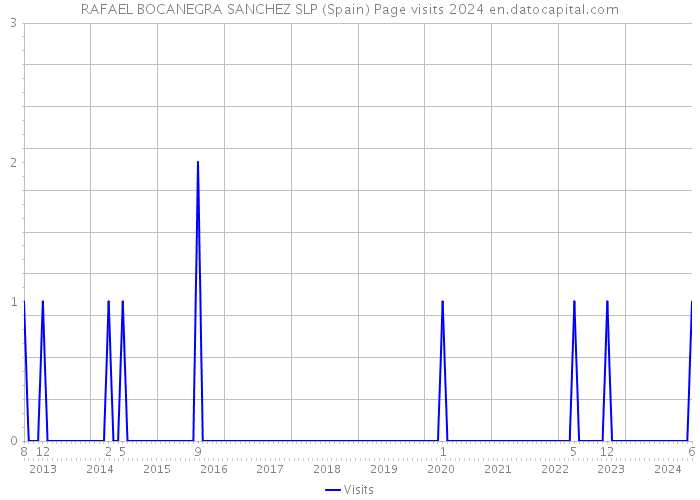 RAFAEL BOCANEGRA SANCHEZ SLP (Spain) Page visits 2024 