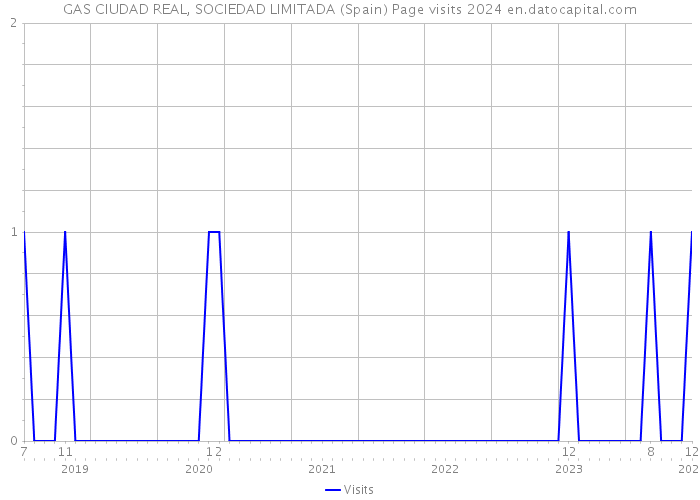 GAS CIUDAD REAL, SOCIEDAD LIMITADA (Spain) Page visits 2024 