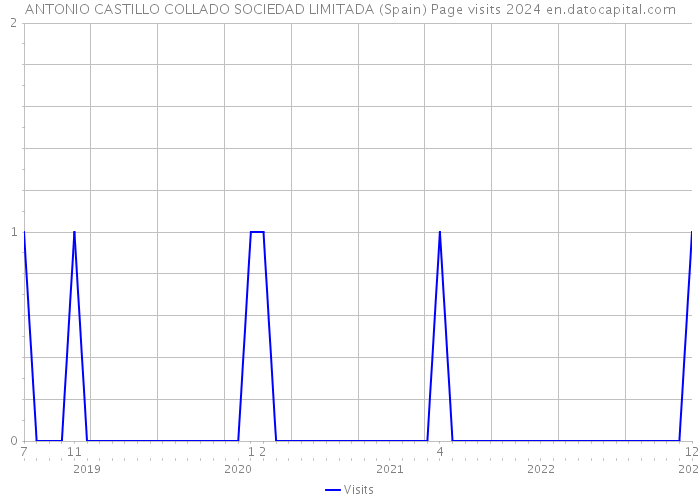 ANTONIO CASTILLO COLLADO SOCIEDAD LIMITADA (Spain) Page visits 2024 