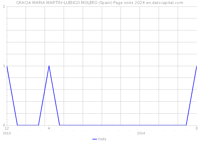 GRACIA MARIA MARTIN-LUENGO MOLERO (Spain) Page visits 2024 