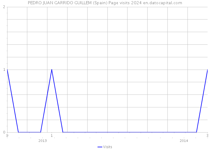 PEDRO JUAN GARRIDO GUILLEM (Spain) Page visits 2024 