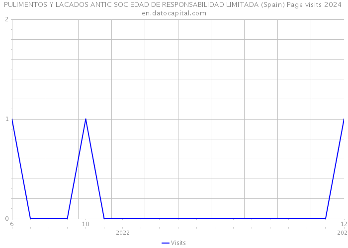 PULIMENTOS Y LACADOS ANTIC SOCIEDAD DE RESPONSABILIDAD LIMITADA (Spain) Page visits 2024 