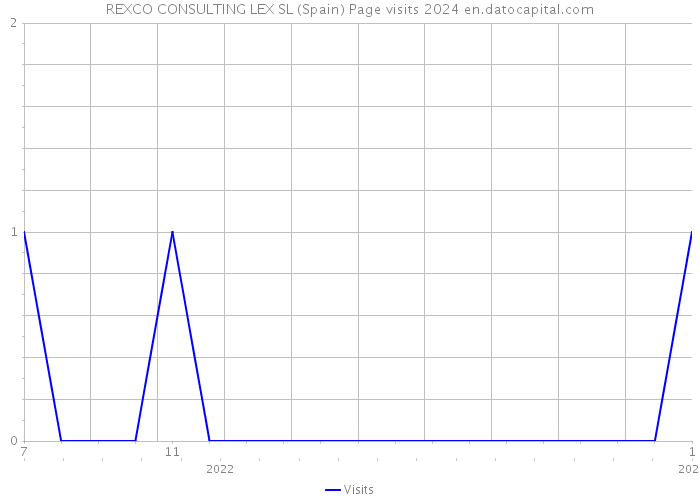 REXCO CONSULTING LEX SL (Spain) Page visits 2024 