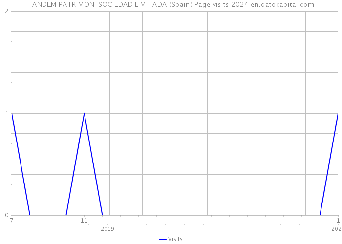 TANDEM PATRIMONI SOCIEDAD LIMITADA (Spain) Page visits 2024 