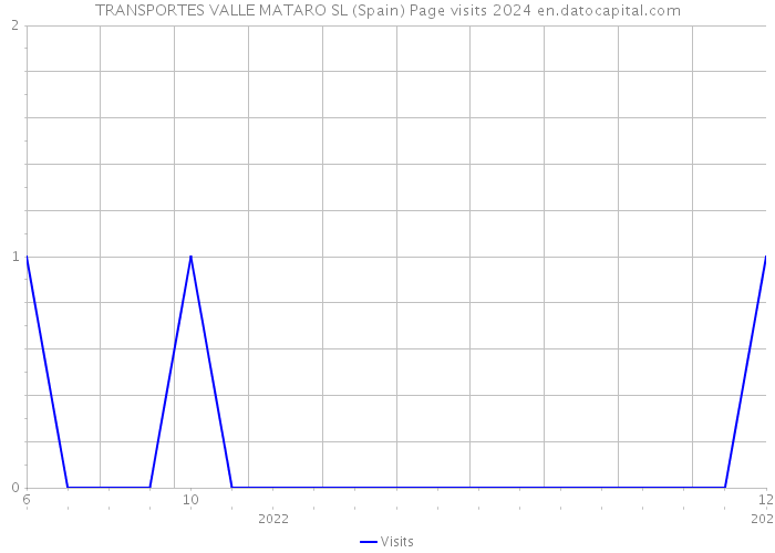 TRANSPORTES VALLE MATARO SL (Spain) Page visits 2024 