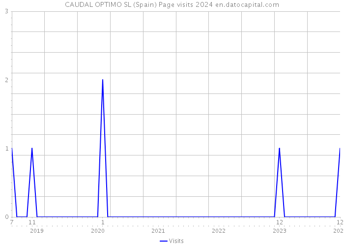 CAUDAL OPTIMO SL (Spain) Page visits 2024 
