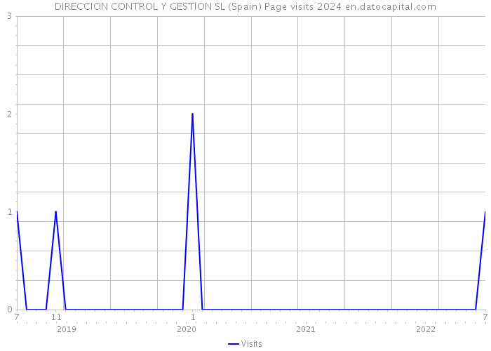 DIRECCION CONTROL Y GESTION SL (Spain) Page visits 2024 