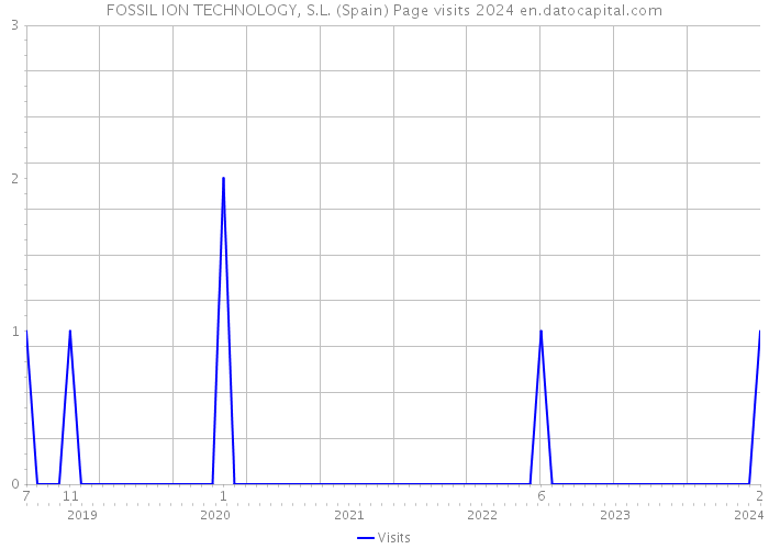 FOSSIL ION TECHNOLOGY, S.L. (Spain) Page visits 2024 