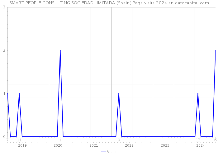 SMART PEOPLE CONSULTING SOCIEDAD LIMITADA (Spain) Page visits 2024 