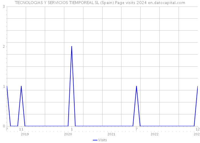 TECNOLOGIAS Y SERVICIOS TIEMPOREAL SL (Spain) Page visits 2024 