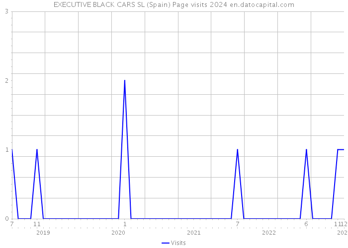 EXECUTIVE BLACK CARS SL (Spain) Page visits 2024 