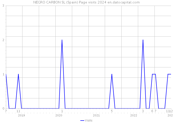 NEGRO CARBON SL (Spain) Page visits 2024 
