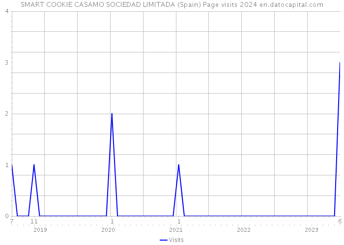 SMART COOKIE CASAMO SOCIEDAD LIMITADA (Spain) Page visits 2024 