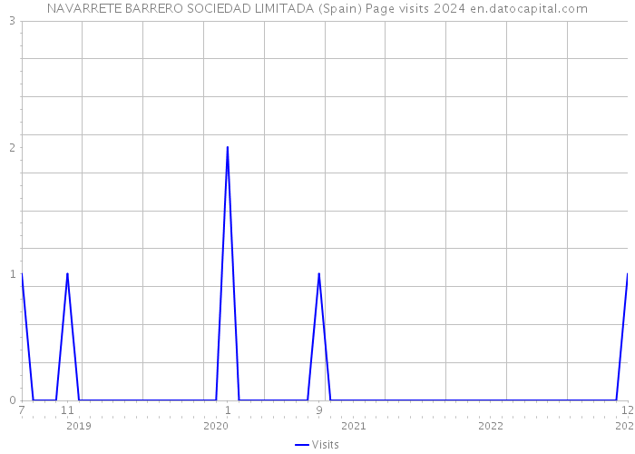 NAVARRETE BARRERO SOCIEDAD LIMITADA (Spain) Page visits 2024 