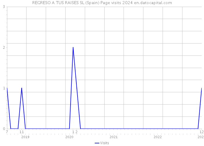 REGRESO A TUS RAISES SL (Spain) Page visits 2024 