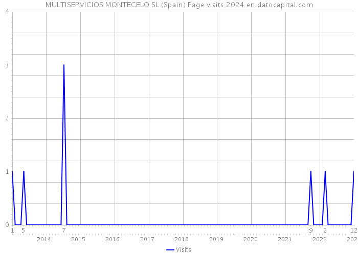 MULTISERVICIOS MONTECELO SL (Spain) Page visits 2024 