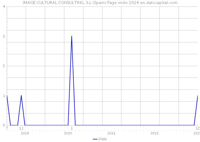 IMAGE CULTURAL CONSULTING, S.L (Spain) Page visits 2024 