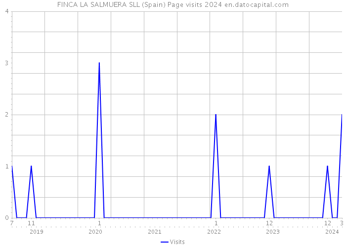 FINCA LA SALMUERA SLL (Spain) Page visits 2024 