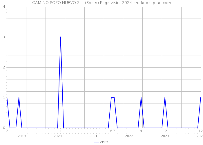 CAMINO POZO NUEVO S.L. (Spain) Page visits 2024 