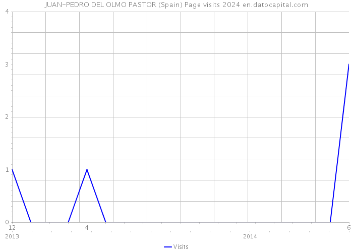 JUAN-PEDRO DEL OLMO PASTOR (Spain) Page visits 2024 