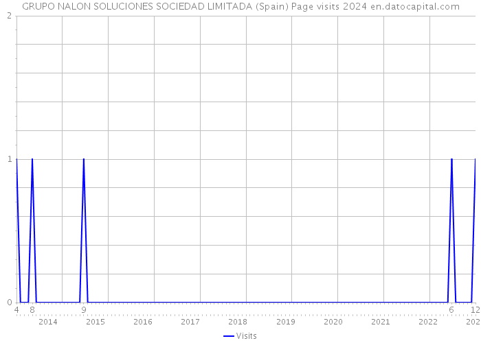 GRUPO NALON SOLUCIONES SOCIEDAD LIMITADA (Spain) Page visits 2024 