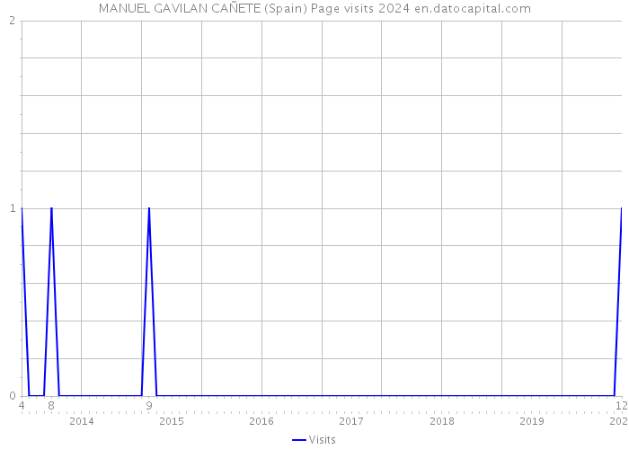 MANUEL GAVILAN CAÑETE (Spain) Page visits 2024 
