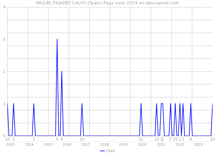 MIGUEL PAJARES CALVO (Spain) Page visits 2024 