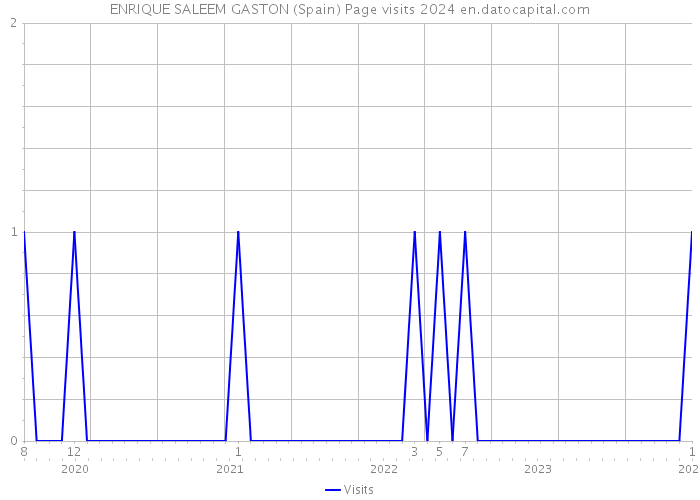 ENRIQUE SALEEM GASTON (Spain) Page visits 2024 
