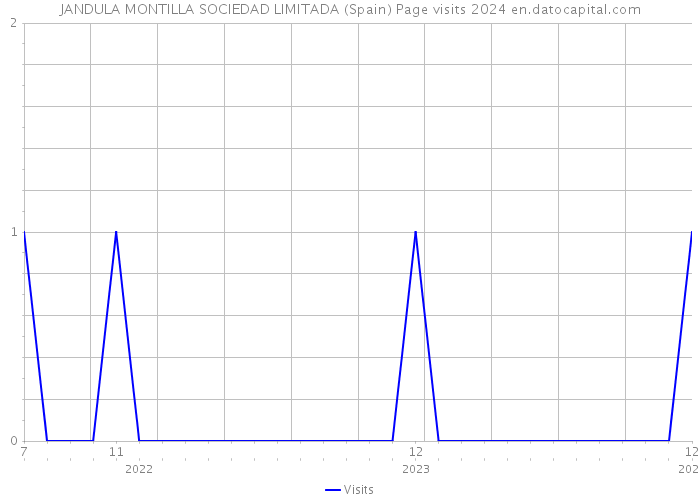 JANDULA MONTILLA SOCIEDAD LIMITADA (Spain) Page visits 2024 
