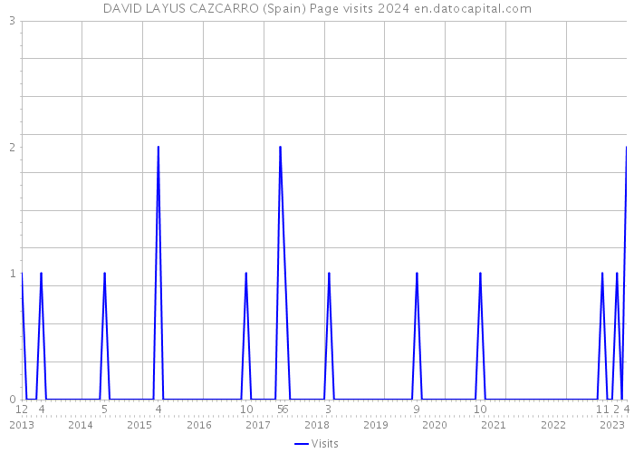 DAVID LAYUS CAZCARRO (Spain) Page visits 2024 