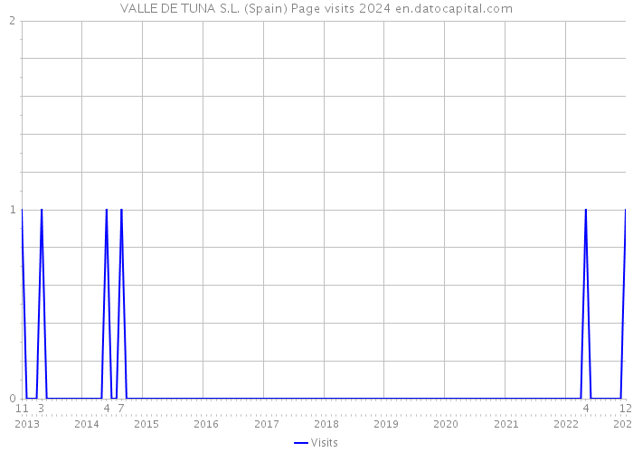 VALLE DE TUNA S.L. (Spain) Page visits 2024 