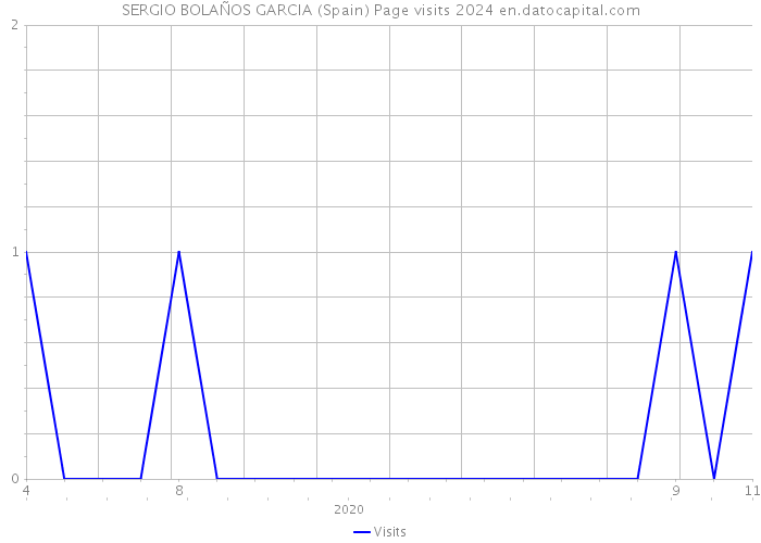SERGIO BOLAÑOS GARCIA (Spain) Page visits 2024 
