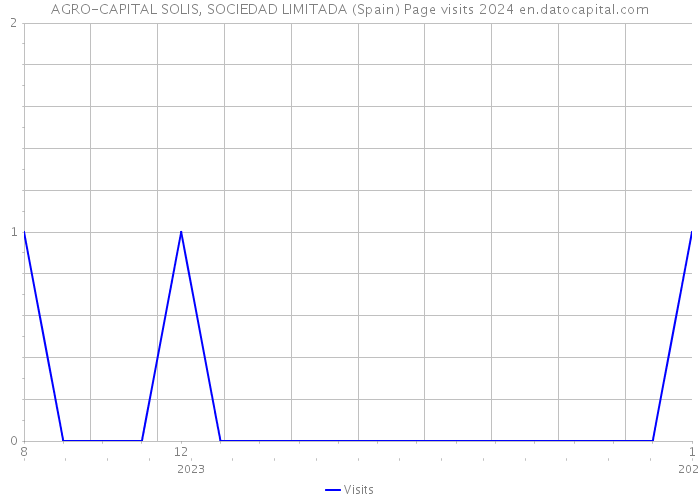 AGRO-CAPITAL SOLIS, SOCIEDAD LIMITADA (Spain) Page visits 2024 