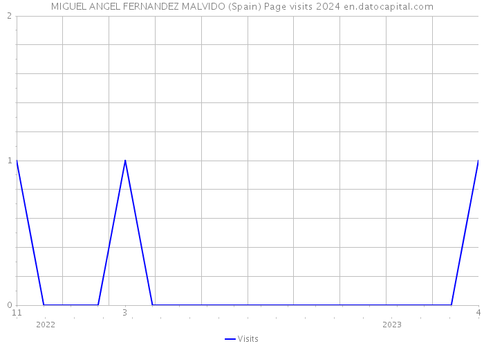 MIGUEL ANGEL FERNANDEZ MALVIDO (Spain) Page visits 2024 