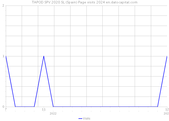 TAPOD SPV 2020 SL (Spain) Page visits 2024 