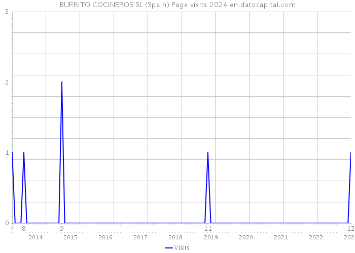 BURRITO COCINEROS SL (Spain) Page visits 2024 