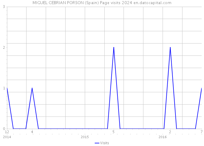 MIGUEL CEBRIAN PORSON (Spain) Page visits 2024 