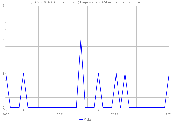 JUAN ROCA GALLEGO (Spain) Page visits 2024 