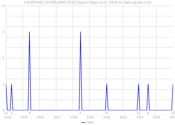 CAYETANO CASTELLANO DIAZ (Spain) Page visits 2024 