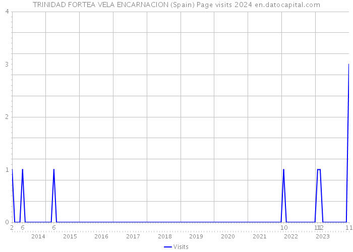 TRINIDAD FORTEA VELA ENCARNACION (Spain) Page visits 2024 