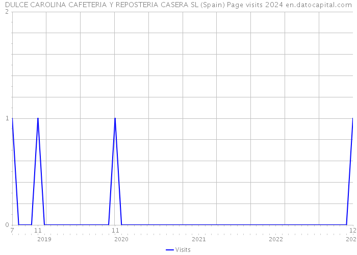 DULCE CAROLINA CAFETERIA Y REPOSTERIA CASERA SL (Spain) Page visits 2024 