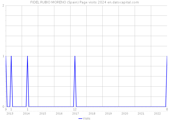 FIDEL RUBIO MORENO (Spain) Page visits 2024 