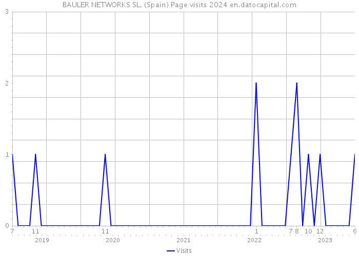 BAULER NETWORKS SL. (Spain) Page visits 2024 