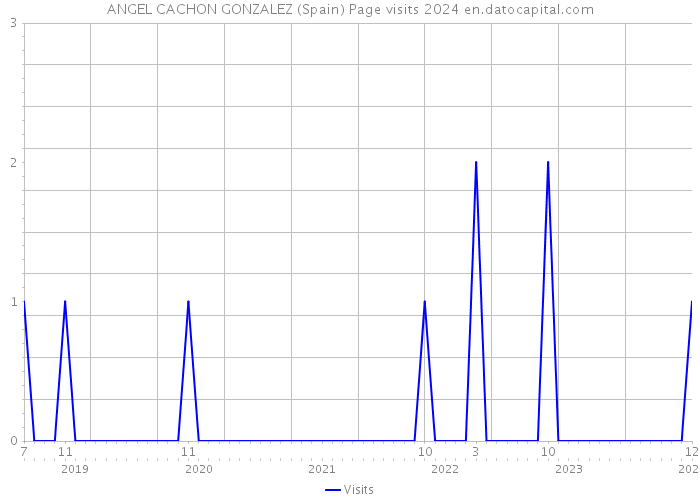 ANGEL CACHON GONZALEZ (Spain) Page visits 2024 
