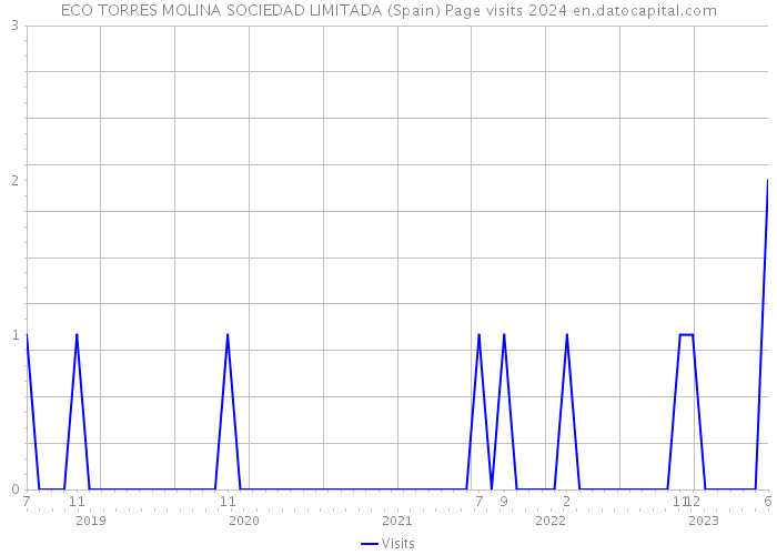 ECO TORRES MOLINA SOCIEDAD LIMITADA (Spain) Page visits 2024 