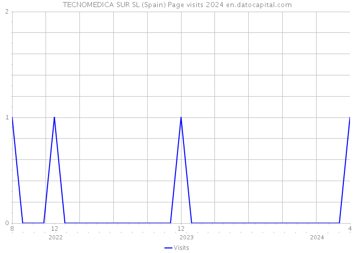 TECNOMEDICA SUR SL (Spain) Page visits 2024 